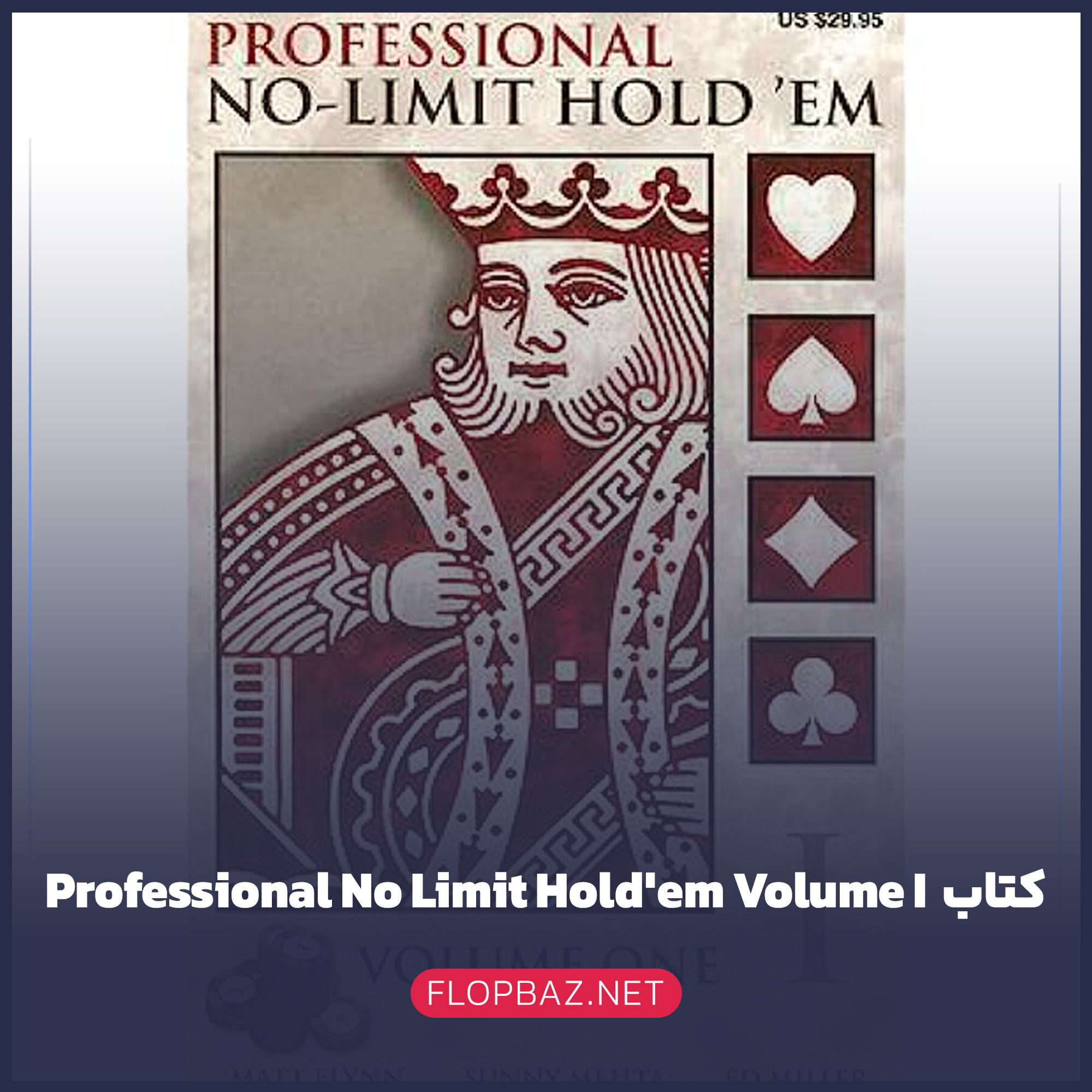 کتاب پوکر Professional No Limit Hold'em Volume I